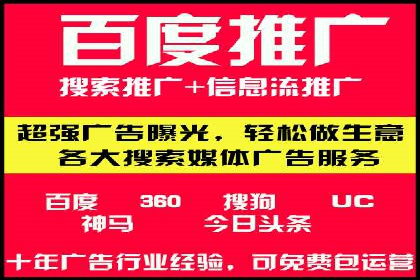 SEM搜索引擎优化策略解析与应用案例